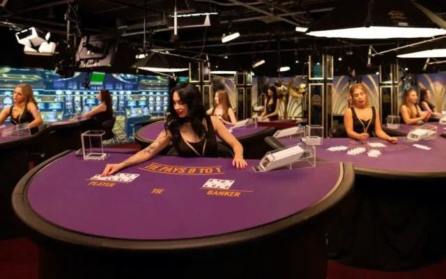 live casino