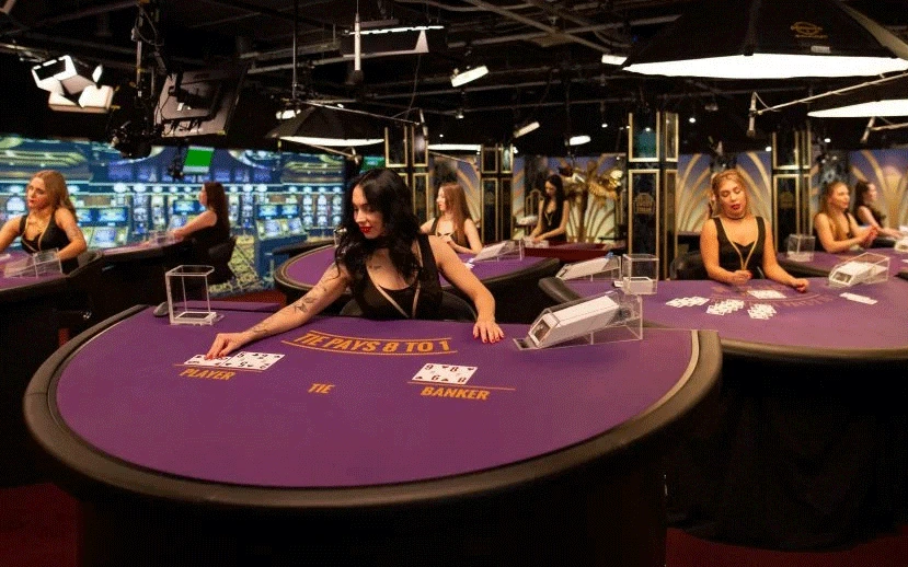 live casino